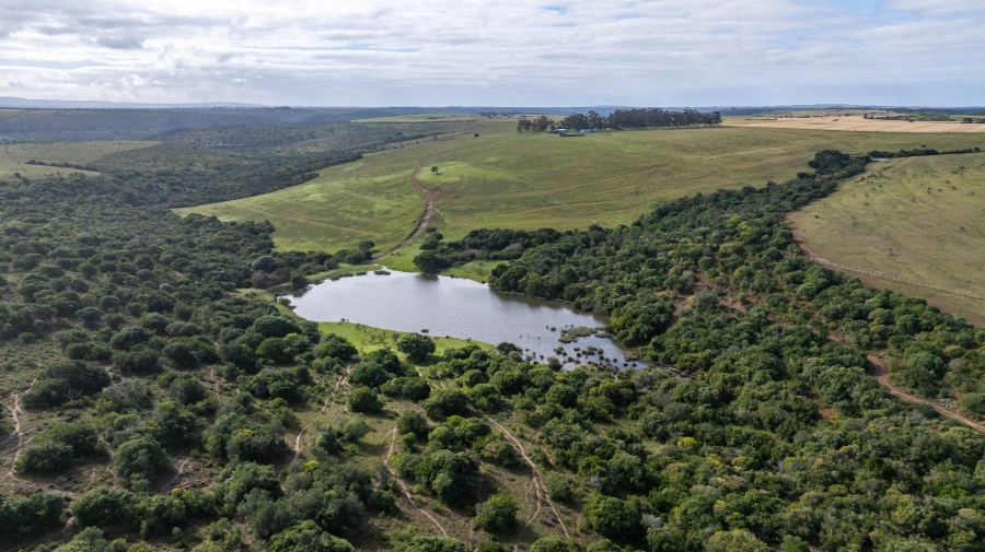 5 Bedroom Property for Sale in Grahamstown Rural Eastern Cape